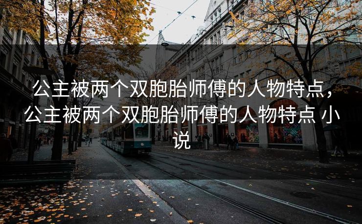 公主被两个双胞胎师傅的人物特点，公主被两个双胞胎师傅的人物特点 小说