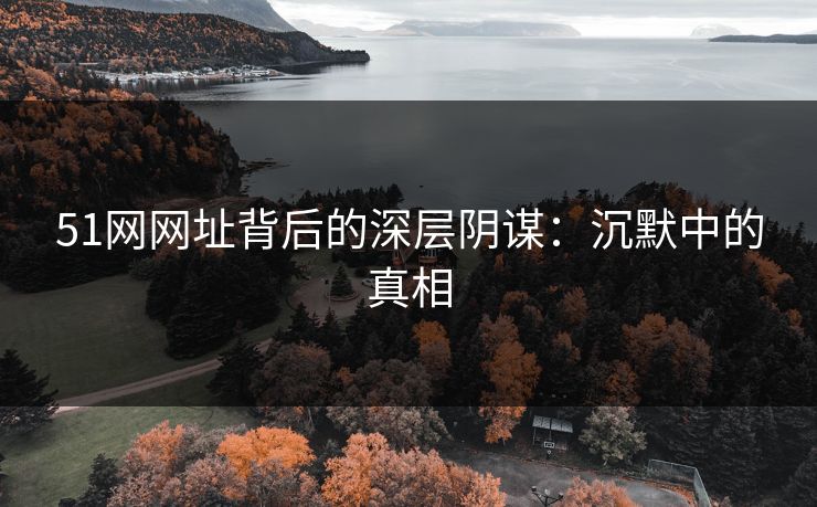 51网网址背后的深层阴谋：沉默中的真相